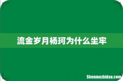 流金岁月杨珂为什么坐牢