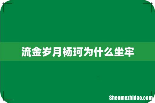流金岁月杨珂为什么坐牢