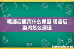 喝酒后腹泻什么原因 喝酒后腹泻怎么调理