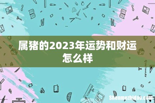 属猪的2023年运势和财运怎么样