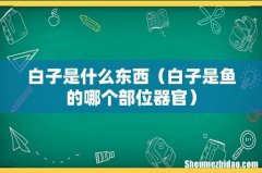 白子是鱼的哪个部位器官 白子是什么东西