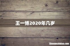王一博2020年几岁