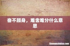 奋不顾身，难舍难分什么意思