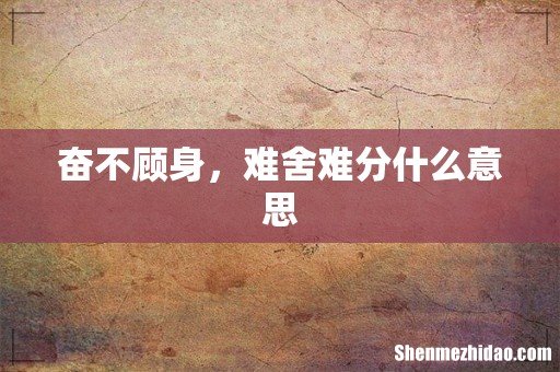 奋不顾身,难舍难分什么意思