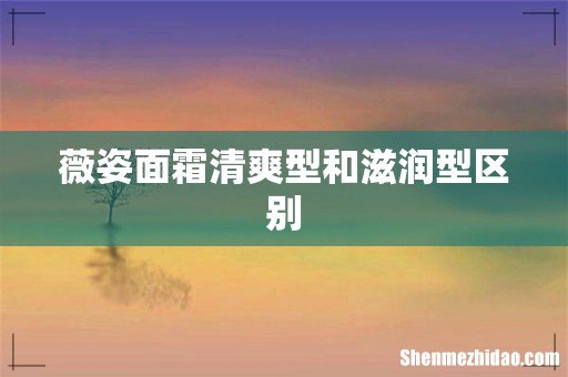 薇姿面霜清爽型和滋润型区别