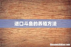进口斗鱼的养殖方法