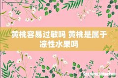 黄桃容易过敏吗 黄桃是属于凉性水果吗