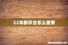 22年新农合怎么缴费