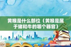 黄喉是属于猪和牛的哪个器官 黄喉是什么部位