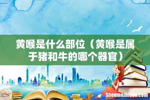 黄喉是属于猪和牛的哪个器官 黄喉是什么部位