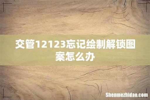 交管12123忘记绘制解锁图案怎么办
