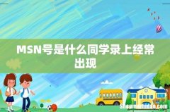 MSN号是什么同学录上经常出现
