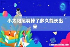 小太阳尾羽掉了多久能长出来