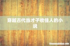 穿越古代当才子收佳人的小说