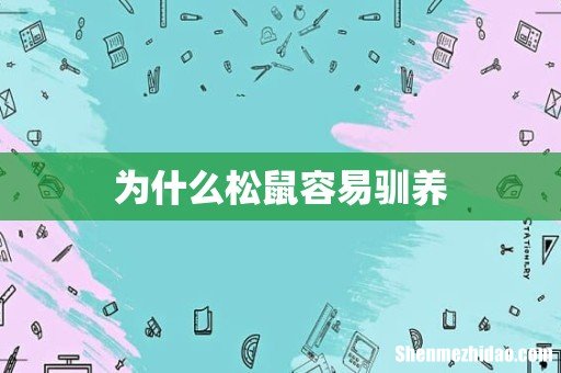 为什么松鼠容易驯养