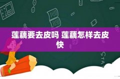 莲藕要去皮吗 莲藕怎样去皮快