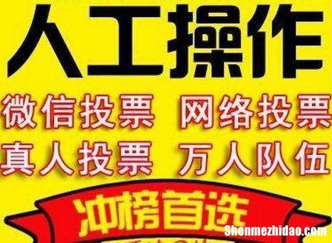 求纯人工微信投票团队价格多少钱一票 微信投票价格低是人工拉票吗?最低的人工投票多少钱?