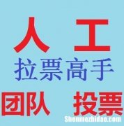 求纯人工微信投票团队价格多少钱一票 微信投票价格低是人工拉票吗?最低的人工投票多少钱