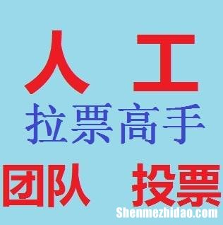 求纯人工微信投票团队价格多少钱一票 微信投票价格低是人工拉票吗?最低的人工投票多少钱?