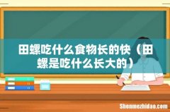 田螺是吃什么长大的 田螺吃什么食物长的快