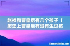 历史上曹皇后有没有生过孩子 赵祯和曹皇后有几个孩子
