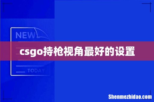 csgo持枪视角最好的设置