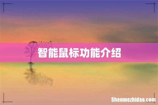 智能鼠标功能介绍