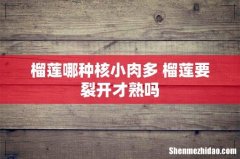 榴莲哪种核小肉多 榴莲要裂开才熟吗