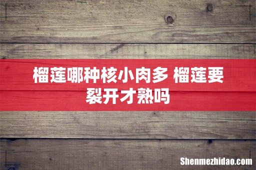 榴莲哪种核小肉多 榴莲要裂开才熟吗