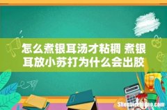 怎么煮银耳汤才粘稠 煮银耳放小苏打为什么会出胶