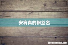 安宥真的粉丝名