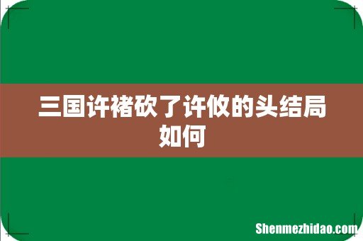 三国许褚砍了许攸的头结局如何