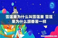 雪莲果为什么叫雪莲果 雪莲果为什么跟番薯一样