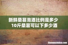 新鲜桑葚泡酒比例是多少 10斤桑葚可以下多少酒
