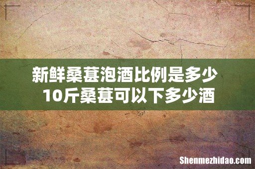新鲜桑葚泡酒比例是多少 10斤桑葚可以下多少酒
