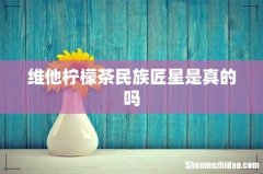 维他柠檬茶民族匠星是真的吗