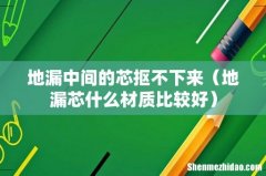 地漏芯什么材质比较好 地漏中间的芯抠不下来