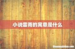 小说雷雨的寓意是什么