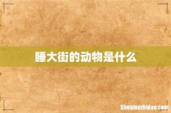 睡大街的动物是什么