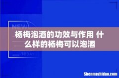 杨梅泡酒的功效与作用 什么样的杨梅可以泡酒
