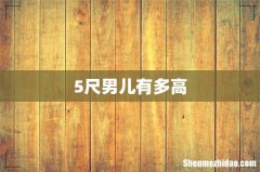 5尺男儿有多高