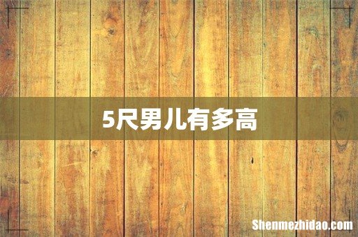 5尺男儿有多高