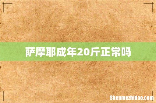 萨摩耶成年20斤正常吗