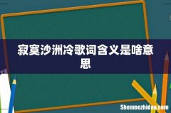 寂寞沙洲冷歌词含义是啥意思