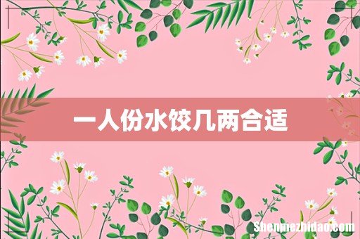 一人份水饺几两合适