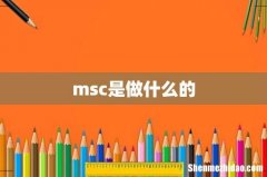 msc是做什么的