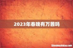 2023年春晚有万茜吗