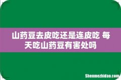 山药豆去皮吃还是连皮吃 每天吃山药豆有害处吗