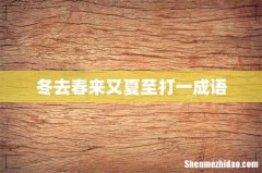 冬去春来又夏至打一成语