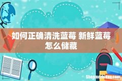 如何正确清洗蓝莓 新鲜蓝莓怎么储藏